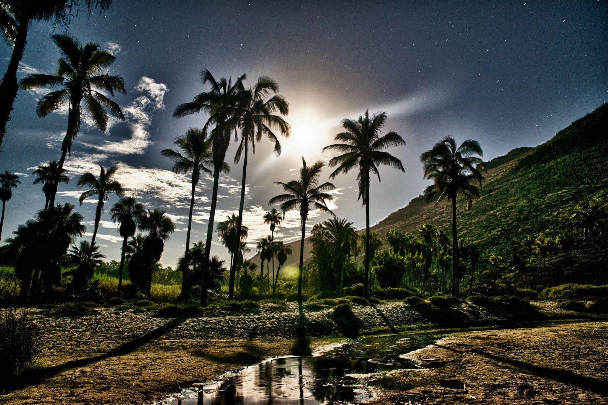 Hacienda Todos Los Santos Exteriör bild